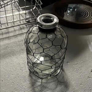 Glass Vase with Wire Mesh